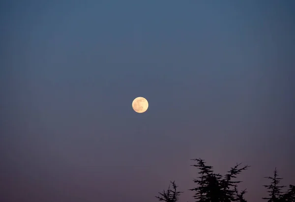 Lua Cheia Grande Natural Céu Claro — Fotografia de Stock