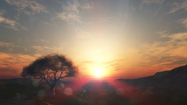 Západ Slunce Louce Osamělý Strom Vykreslení Ilustrace — Stock fotografie
