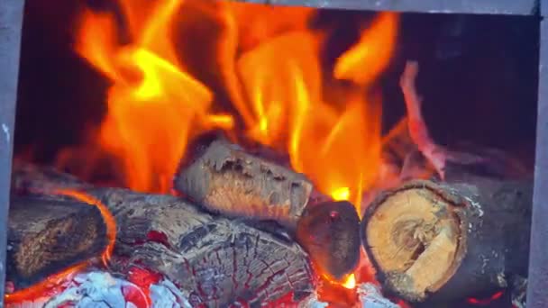 Dřevo krbu plameny popel zblízka makro 4k — Stock video