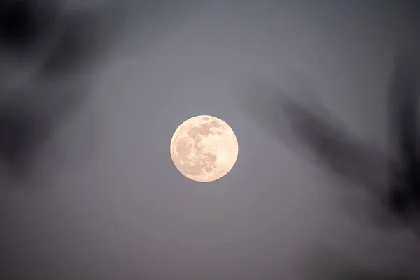 Натуральная Большая Полная Луна Ясном Небе — стоковое фото