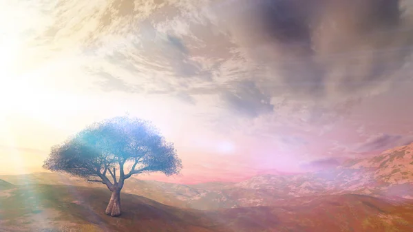 Sunset Meadow Lonely Tree Render Illustration — Stock Photo, Image