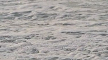 Dalga, deniz kıyısı makrosu sıçratıyor