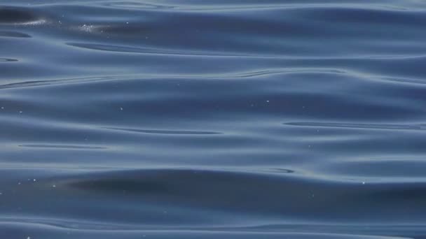 Göl küçük dalgası 4k — Stok video