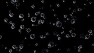 kabarcık rengi soyut hareket arkaplan 4k