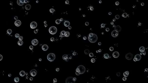 Bubble color abstract motion background 4k — Stock Video