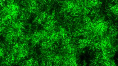 Sıvı soyut arkaplan renkli doku çizimi çizimi