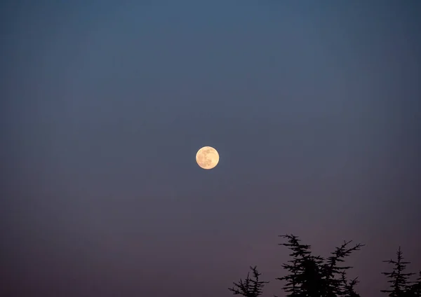 Natural Big Full Moon Clear Sky — Stock Photo, Image