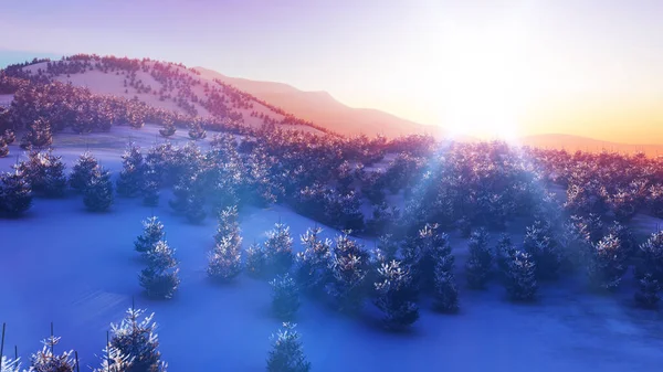 Над Зимним Лесом Изображение Заката — стоковое фото