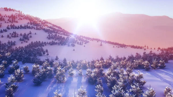 Nad Zimní Les Hora Západ Slunce Vykreslování Ilustrace — Stock fotografie