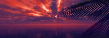 Gün batımı deniz palmiyesi çizimi, 3D görüntüleme