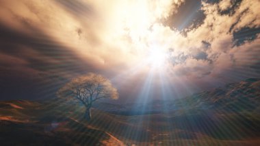 Çayırda gün batımı ve yalnız ağaç, üç boyutlu resimleme