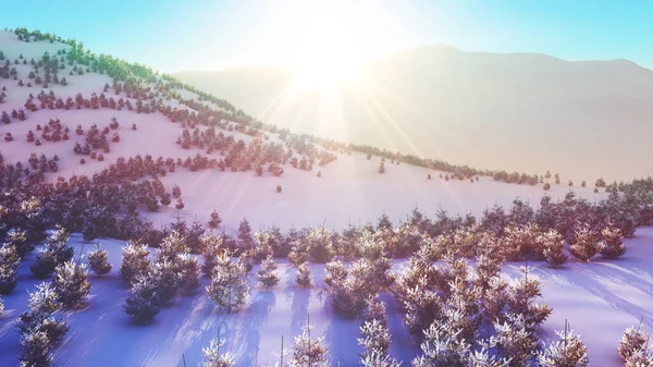 Nad Zimní Les Hora Západ Slunce Vykreslování Ilustrace — Stock fotografie