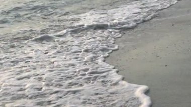 Dalga, deniz kıyısı makrosu sıçratıyor