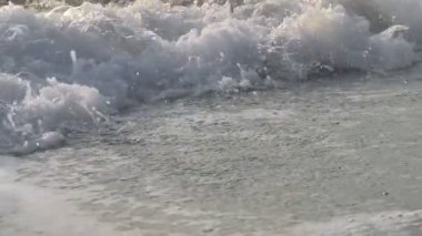 Dalga, deniz kıyısı makrosu sıçratıyor