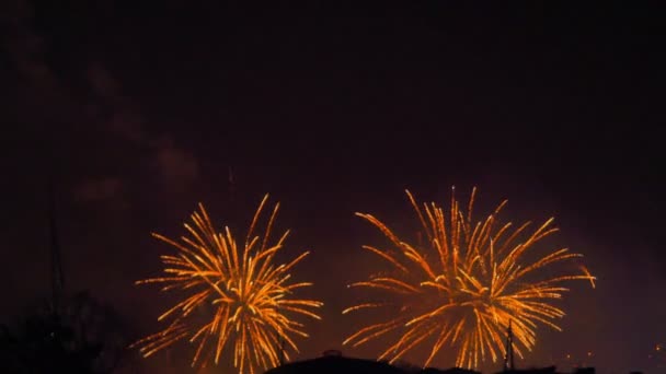 Fuegos artificiales coloridos en la noche de vacaciones 4k — Vídeo de stock