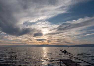 Kuş Martı Gün batımında duruyor, göl batımında