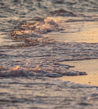 Dalgalar deniz kıyısı makrosu sıçratıyor. Yaklaş.