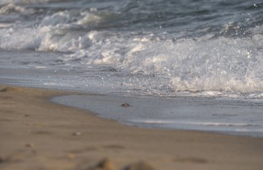 Dalgalar deniz kıyısı makrosu sıçratıyor. Yaklaş.