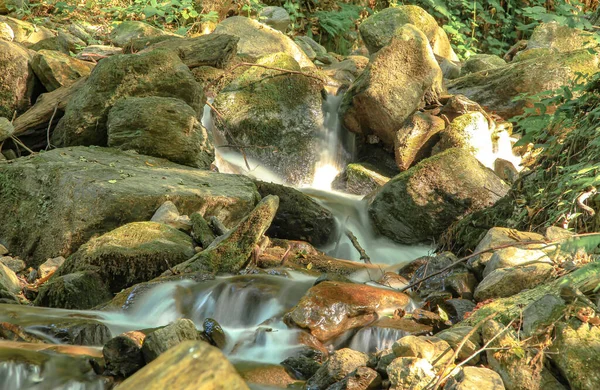 Água Fluxo Natural Exposição Longa Floresta — Fotografia de Stock