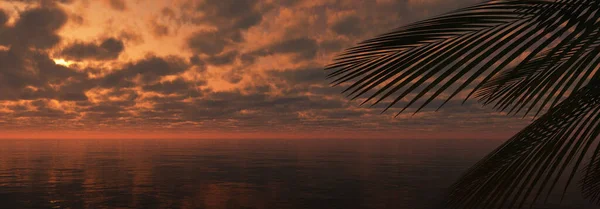 Sunset Sea Palm Landscape Illustration Render — Stock Photo, Image