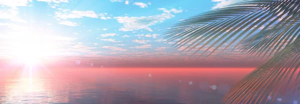 Gün Batımı Deniz Palmiyesi Çizimi Görüntüleme — Stok fotoğraf