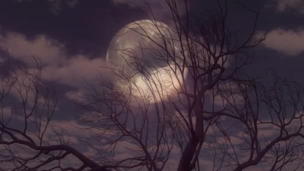 Árvore lua cheia 4k — Vídeo de Stock