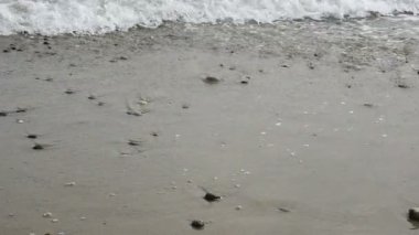 ağır çekimde Beach güzel dalgalar