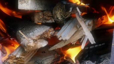 Bir şömine ağır çekimde alev