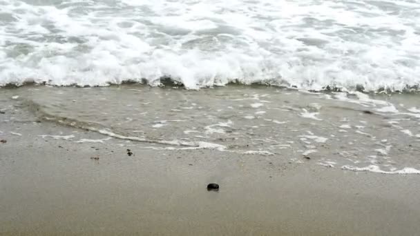 Belas ondas na praia em câmera lenta — Vídeo de Stock