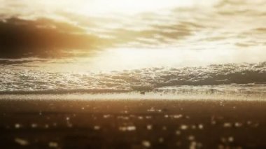 Sunset beach dalga ağır çekim