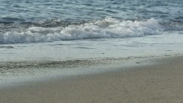 Красиві хвилі на пляжі в повільному русі — стокове відео