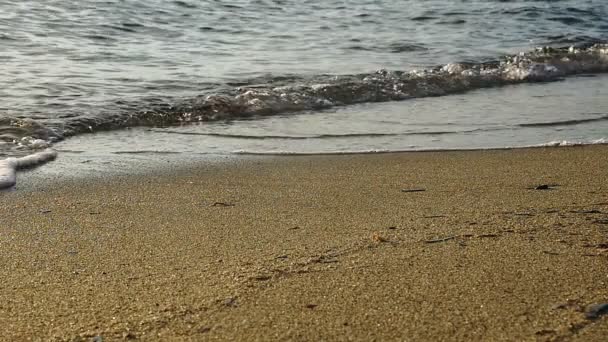 Hermosas olas en la playa en cámara lenta — Vídeo de stock