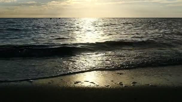 Sunset beach dalga ağır çekim — Stok video