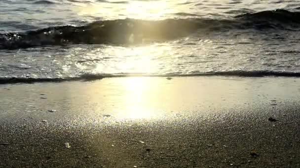 Sonnenuntergang Strand Welle Zeitlupe — Stockvideo