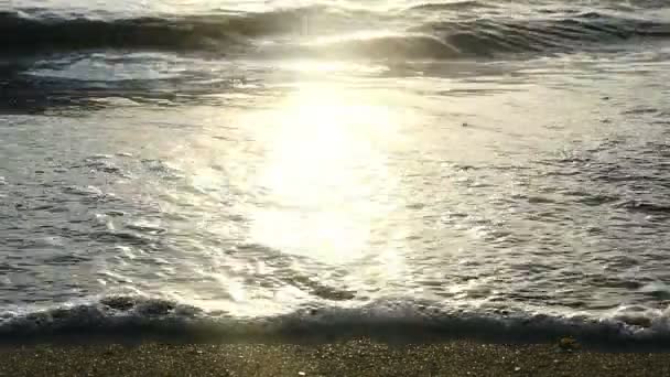 Sunset beach wave slow motion — Stock Video