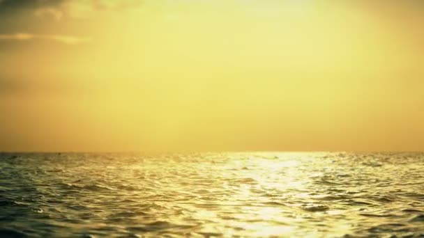coucher de soleil plage vague ralenti 