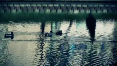 ördekler Gölü yavaş hareket