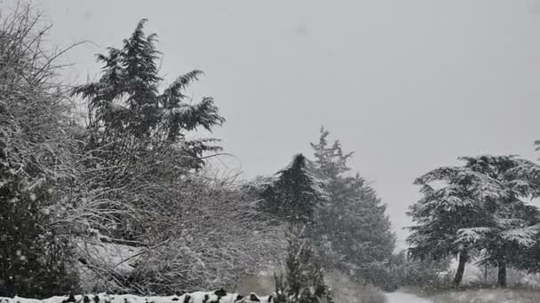눈이 내리는 슬로우 모션 — 비디오