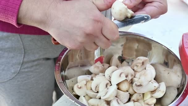 Picar hongos en cámara lenta — Vídeos de Stock