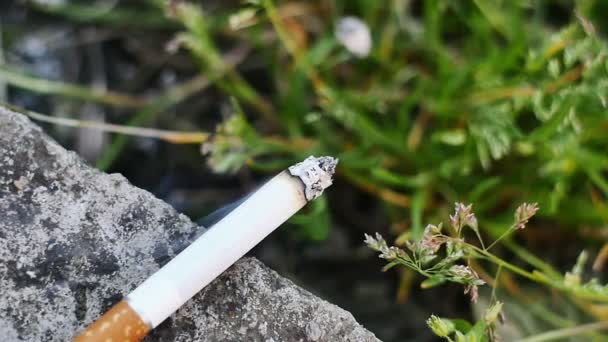 Cigarette in grass slow motion — Stock Video