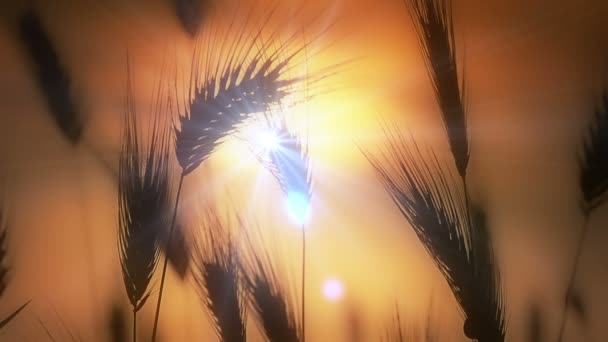 Замедленная съёмка травы — стоковое видео