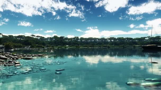 Mar azul lagoa molusco — Vídeo de Stock