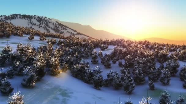 Voler en hiver montagne — Video