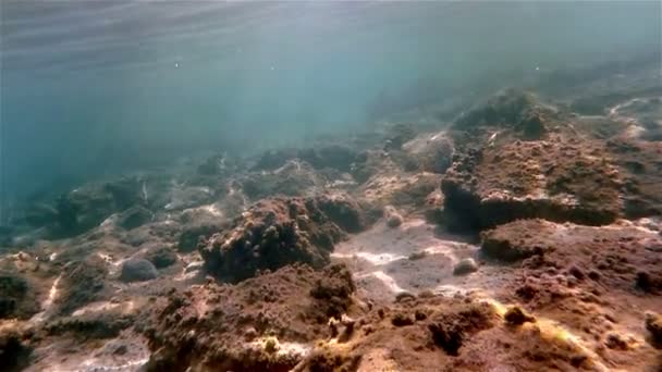 Rayo de piedras submarinas — Vídeos de Stock