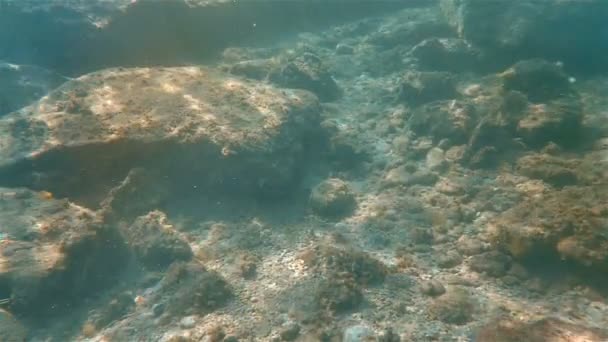 Rayo de piedras submarinas — Vídeo de stock