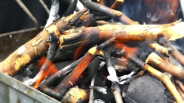 Kindling grilled slow motion — Stock Video