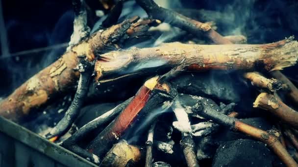 Kindling grilla slow motion — Wideo stockowe