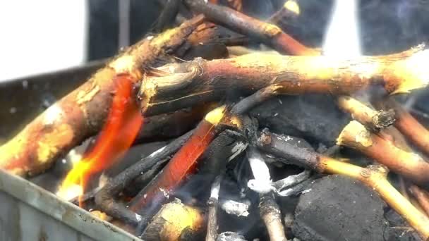 バーベキューの火のスローモーション — ストック動画