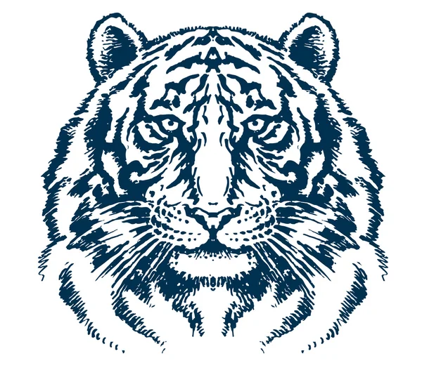 Detaljerad vektor för tigerhuvud — Stock vektor