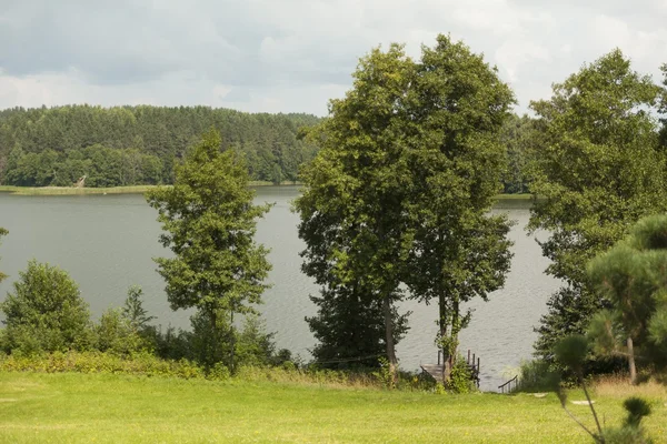 Деревья перед озером — стоковое фото
